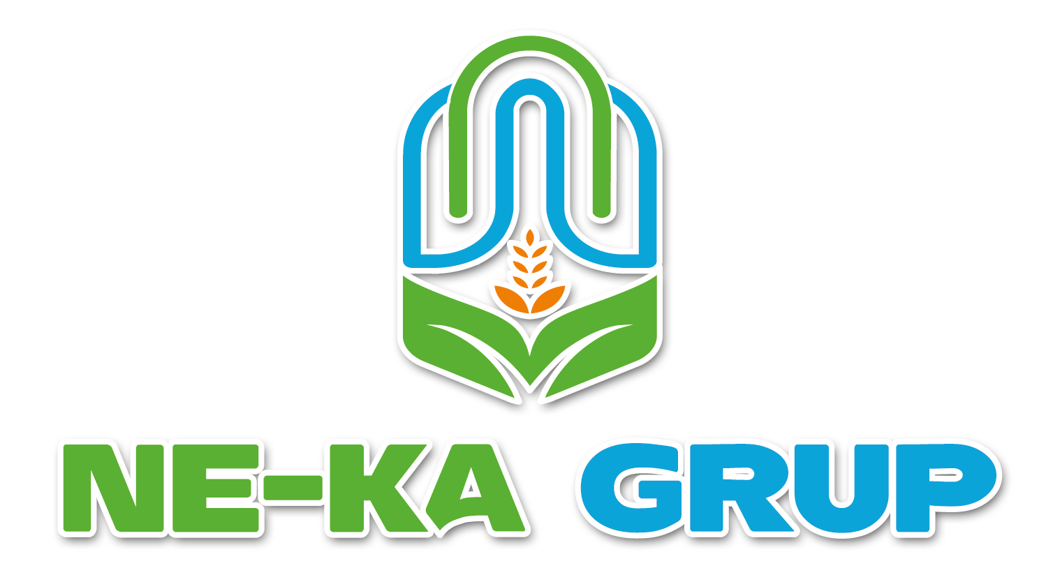 ne-ka grup